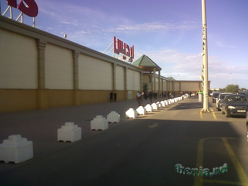 IMG01125-20121103-1512.jpg