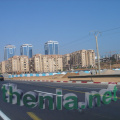 DSC03414
