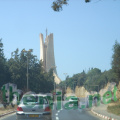 DSC03560
