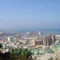 DSC03617