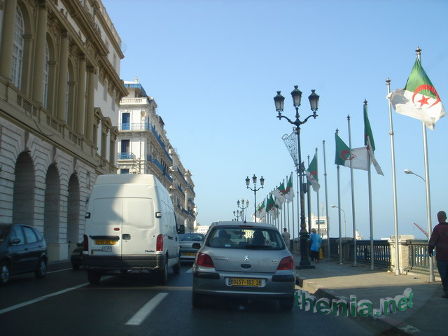 DSC03663.JPG