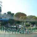DSC03664