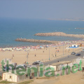 DSC02645