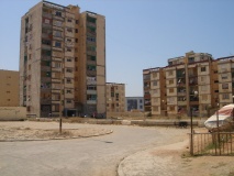 DSC02973