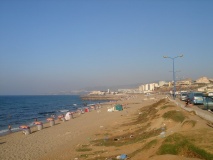 DSC03401