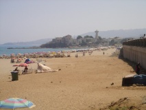DSC03738