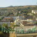 DSC01523