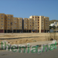 DSC02281
