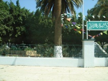 DSC03364