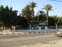 DSC04406