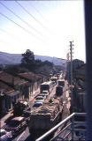 THENIA24