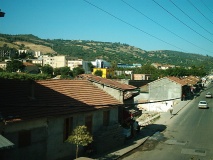 Thenia 1