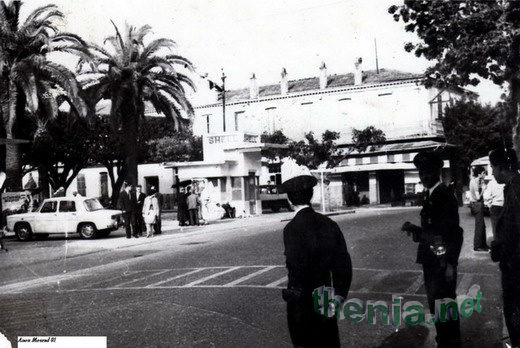 Thenia_avant_70.jpg