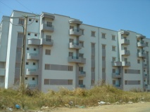 DSC02401