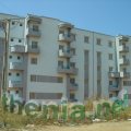 DSC02401