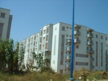 DSC02402