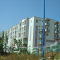 DSC02402
