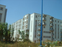 DSC02402