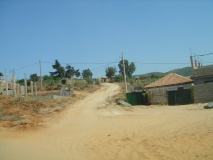 DSC02431