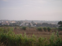 DSC02531