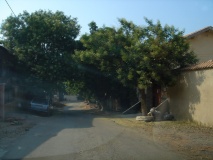 DSC02692