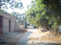 DSC02693
