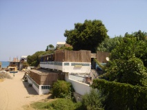 DSC03787