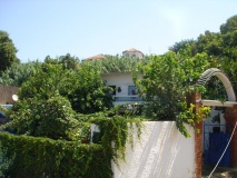 DSC03788