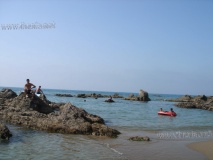 DSC03970