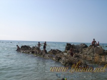 DSC03971