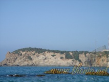 DSC04006