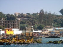 DSC04015