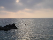 DSC04065