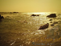 La-plageprivee