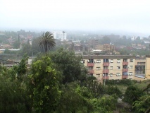 DSC00784