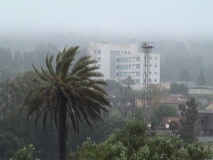 DSC00785