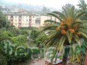 DSC00790