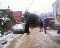 PIC00052