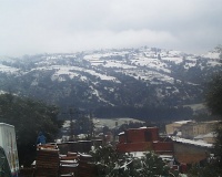 PIC00059