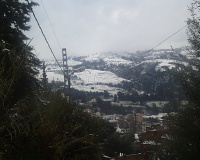 PIC00060