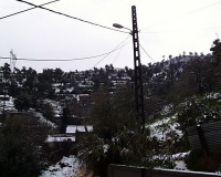 PIC00062