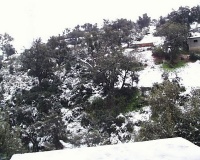 PIC00064