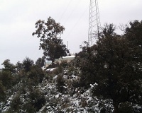 PIC00068