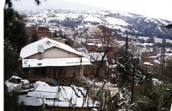 PIC00072