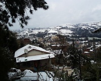 PIC00073