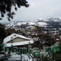 PIC00073