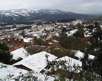 PIC00076