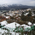 PIC00076