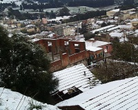 PIC00077
