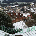 PIC00077
